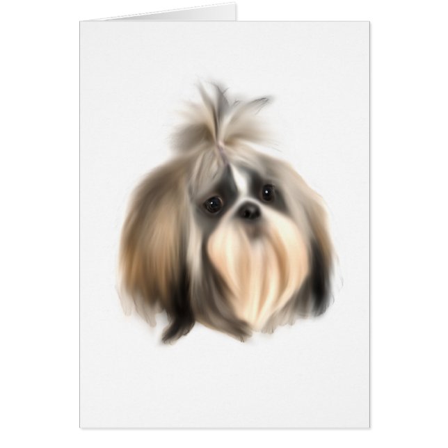 ShihTzu Dog (Front)