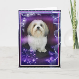 ShihTzu Greeting Card