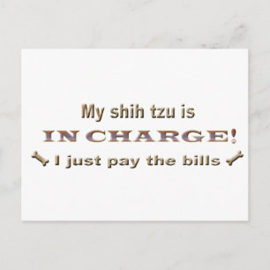 shihtzu postcard