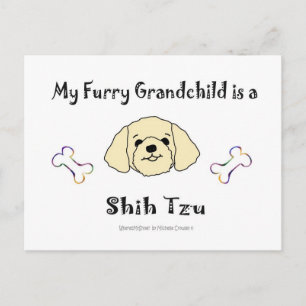ShihTzuTan Postcard