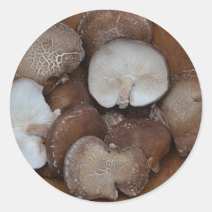 Shiitake Mushroom Stickers