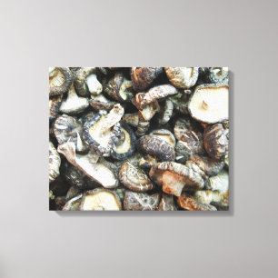 Shiitake Mushrooms Canvas Print