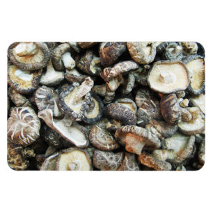 Shiitake Mushrooms Magnet