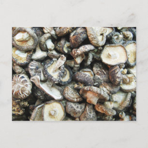 Shiitake Mushrooms Postcard
