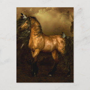 Shikoba Native American Horse Postcard