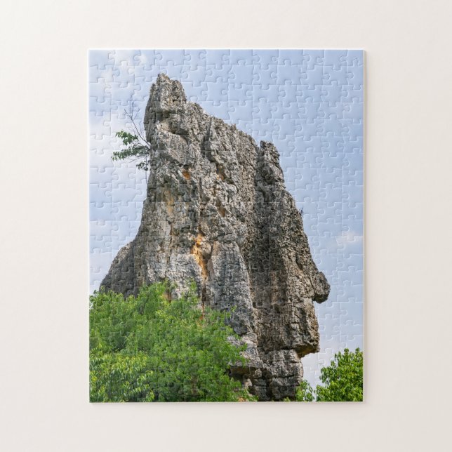 Shilin pinnacles Stone forest - Yunnan,China,Asia Jigsaw Puzzle (Vertical)