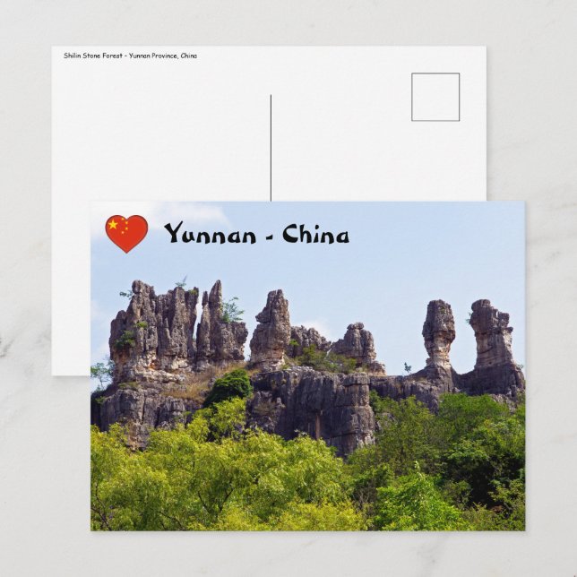 Shilin pinnacles Stone forest - Yunnan,China,Asia Postcard (Front/Back)