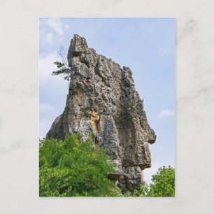 Shilin pinnacles Stone forest - Yunnan,China,Asia Postcard