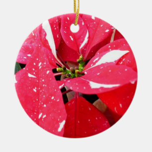 Shimmer Star Surprise Poinsettia Holiday Floral Ceramic Tree Decoration