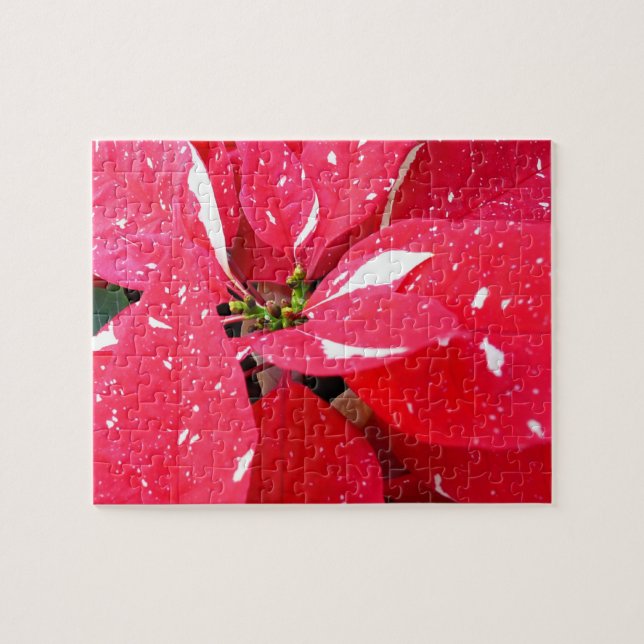 Shimmer Star Surprise Poinsettia Holiday Floral Jigsaw Puzzle (Horizontal)