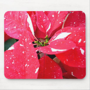 Shimmer Star Surprise Poinsettia Holiday Floral Mouse Mat