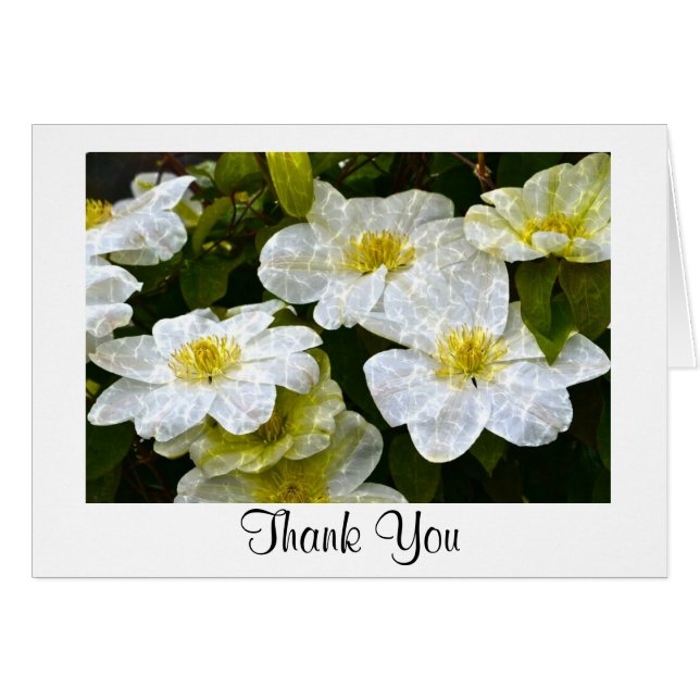 Shimmering Clematis Thank You Card (Front Horizontal)