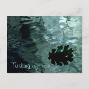 Shimmering Pond Postcard