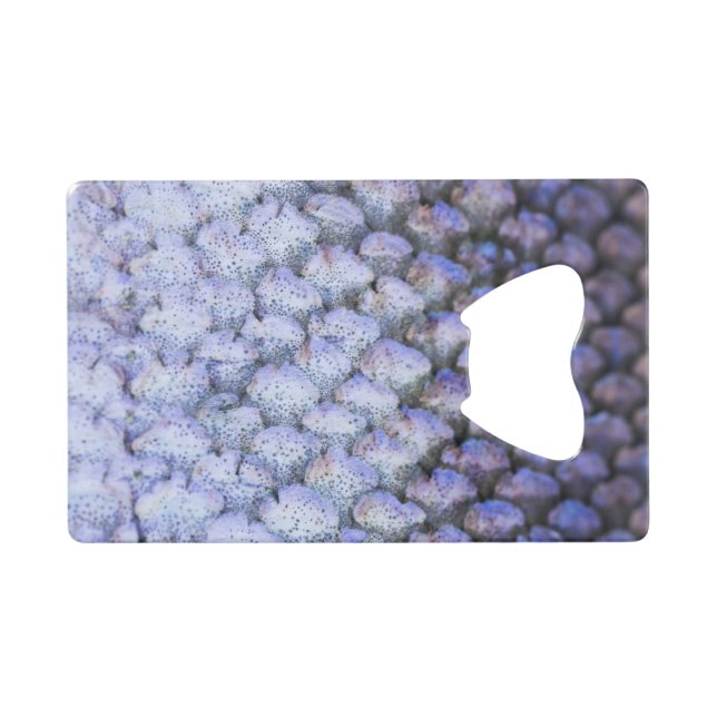 Shimmering Salmon (Front (Horizontal))