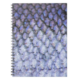 Shimmering Salmon Notebook