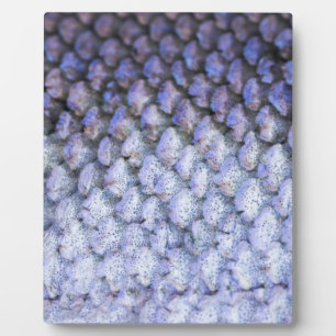 Shimmering Salmon Plaque