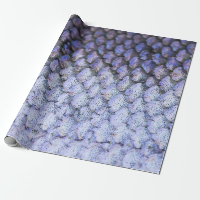 Shimmering Salmon Wrapping Paper (Unrolled)