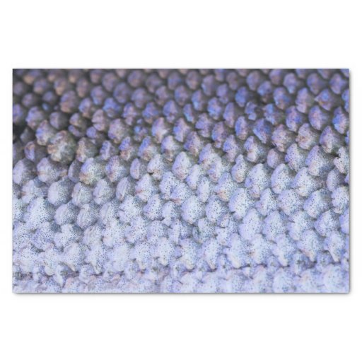 Image of Shimmering Silver Salmon Tissue Paper