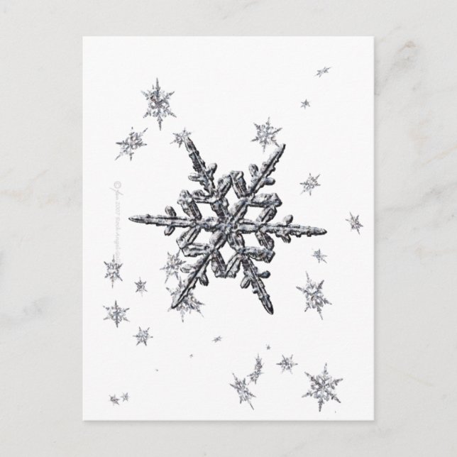 Shimmering Snowflake Postcard (Front)