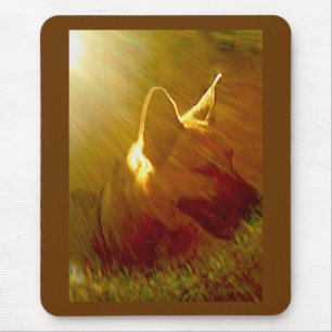 Shine On Me German Shepherd #1 Mouse Mat