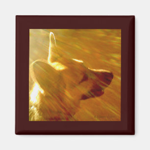 Shine On Me German Shepherd #2 Magnet