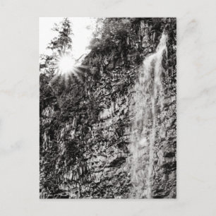 Shine On Postcard