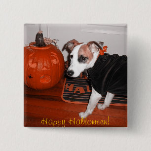 Shiner's Best Halloween 15 Cm Square Badge