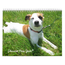 Shinese Calendar