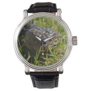 Shingleback Lizard Face, Watch