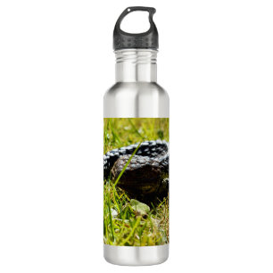 Shingleback Lizard On Grass, Water Bottle