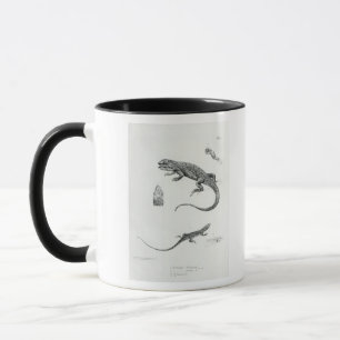 Shingled Iguana Mug