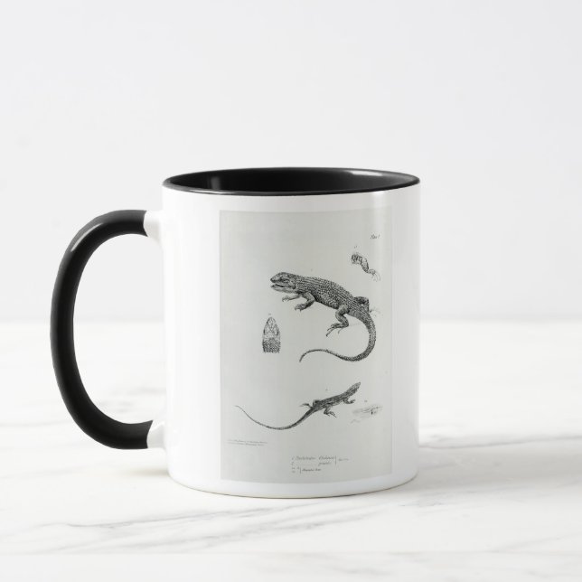 Shingled Iguana Mug (Left)