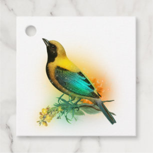 Shining Fantasy Yellow and Turquoise Bird Favour Tags