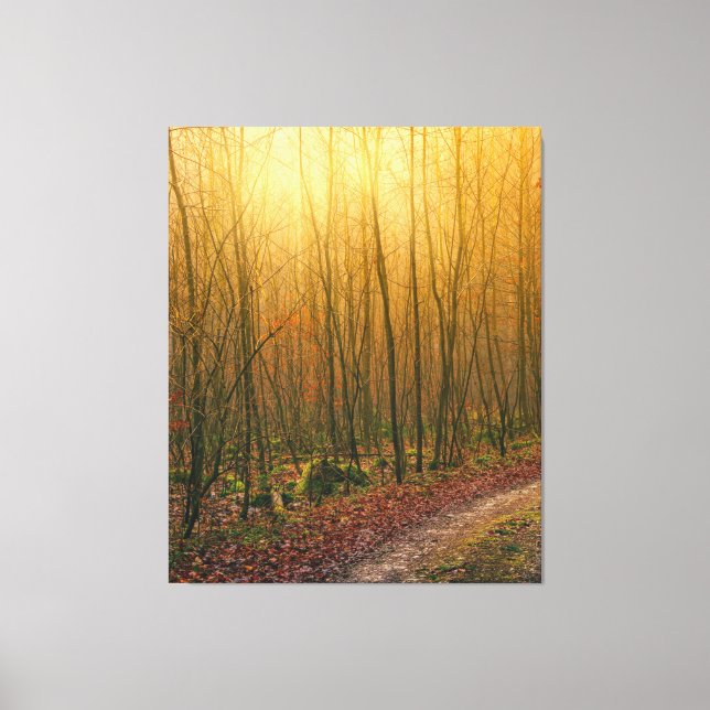 Shining Forest Path Fantasy Sunrise Landscape Canvas Print (Front)