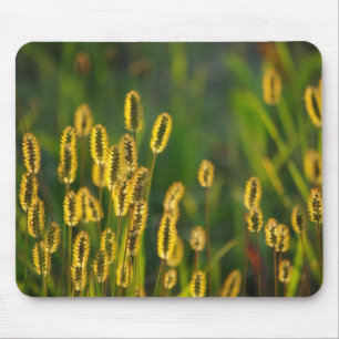 Shining Grass - Mousepad