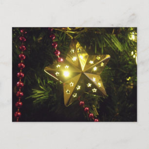 Shining Holiday Star Christmas Lights