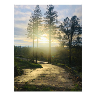 Shining Hope Photo Print