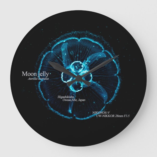 Shining Jellyfish Silhouette Large Clock (Front)