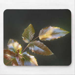 shining leaves mouse mat