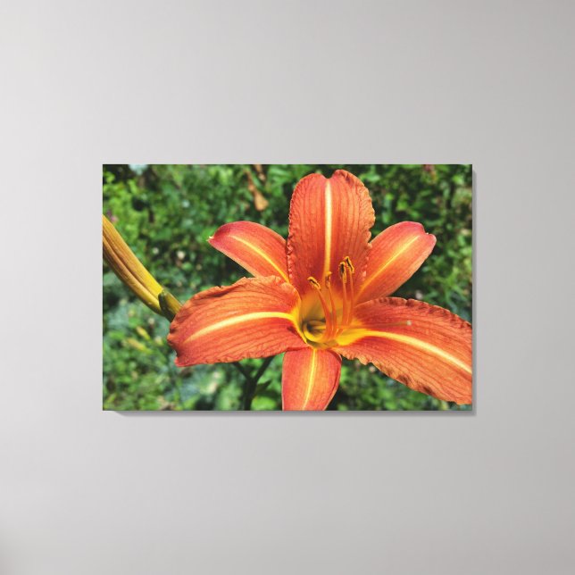 shining lily canvas print (Front)