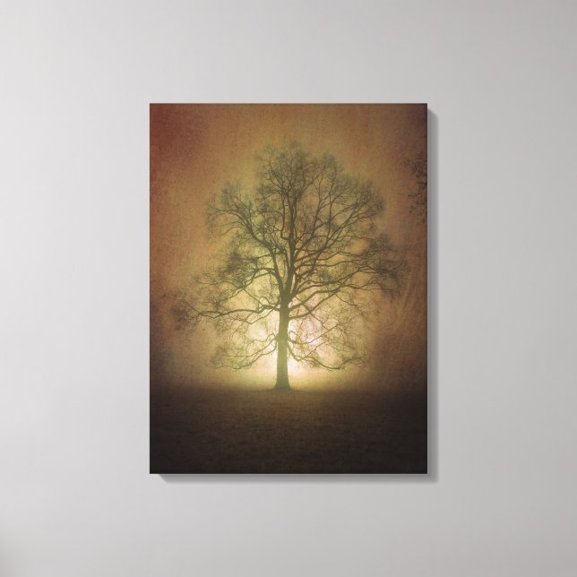 Shining Oak Tree Canvas Print (Front)