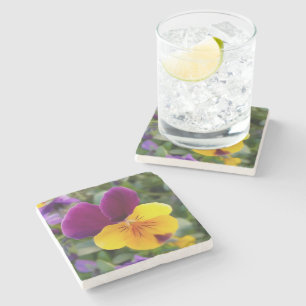 Shining pansies stone coaster