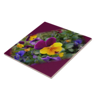 Shining pansies tile