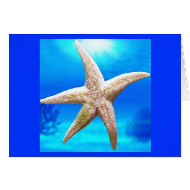 Shining Star (Front Horizontal)