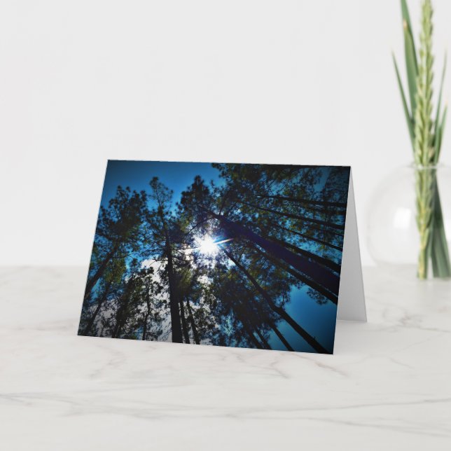Shining Through, card (Front)