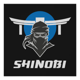 Shinobi Ninja Martial Arts Poster