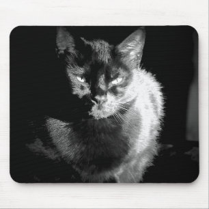 Shiny Black Cat Mouse Mat