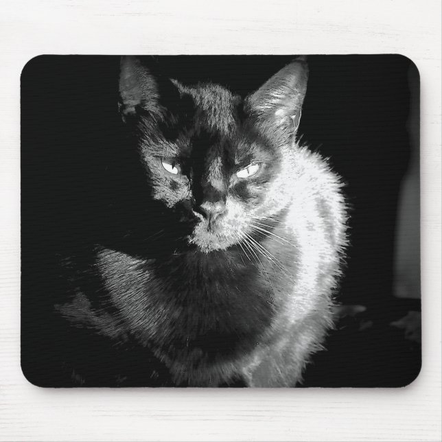 Shiny Black Cat Mouse Mat (Front)