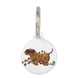Shiny Dog Pet Tag