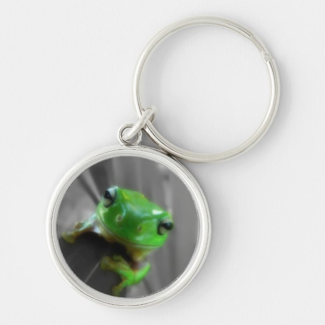 Shiny Green Frog Key Ring (Front)